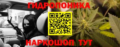 прущие крисы Малгобек