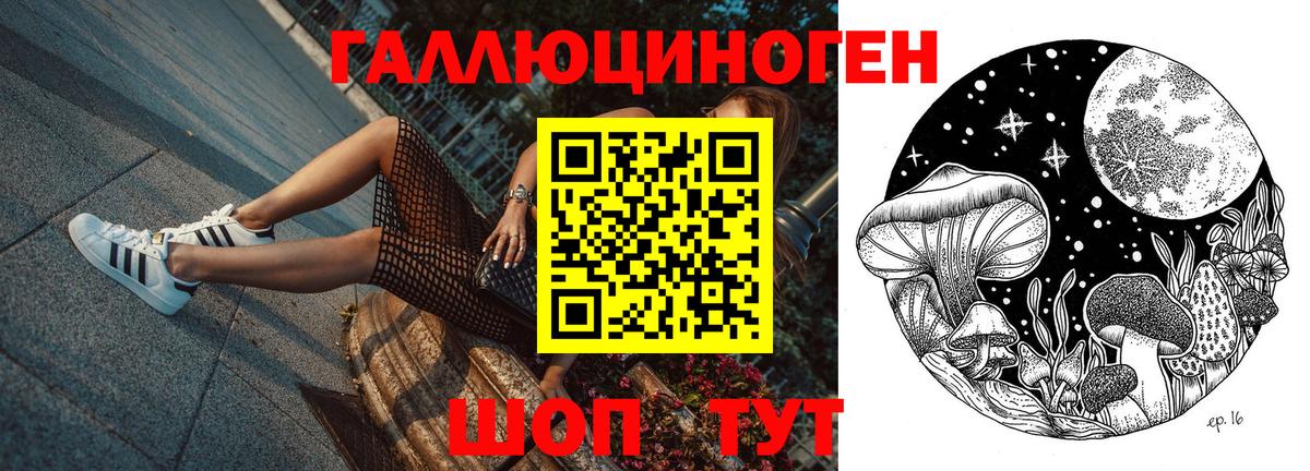 Псилоцибиновые грибы прущие грибы Долгопрудный
