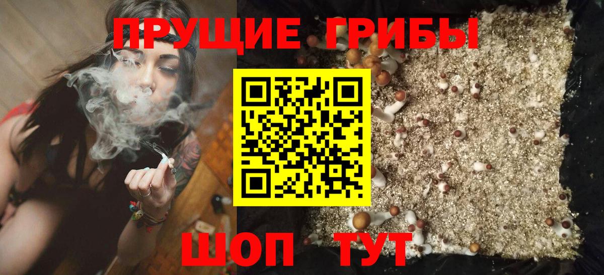 Долгопрудный  Галлюциногенные грибы Cubensis  Вход с VPN  Псилоцибиновые грибы Psilocybine cubensis 
